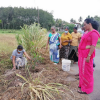 "Samrudhi Green Color Aswedduma Matrubhumi" National Plantation Day Environment Program / Homagama (Kirigampamunwa) (2022-09-28)